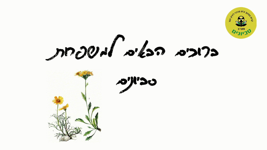 ברוכים הבאים למשפחת סביונים